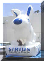 siriusdog3.jpg (35613 bytes)